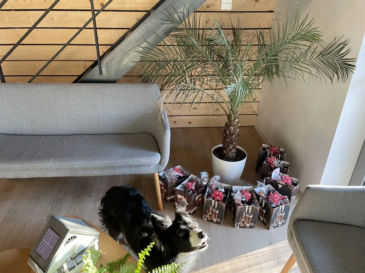 Bonne nouvelle pour votre portefeuille !